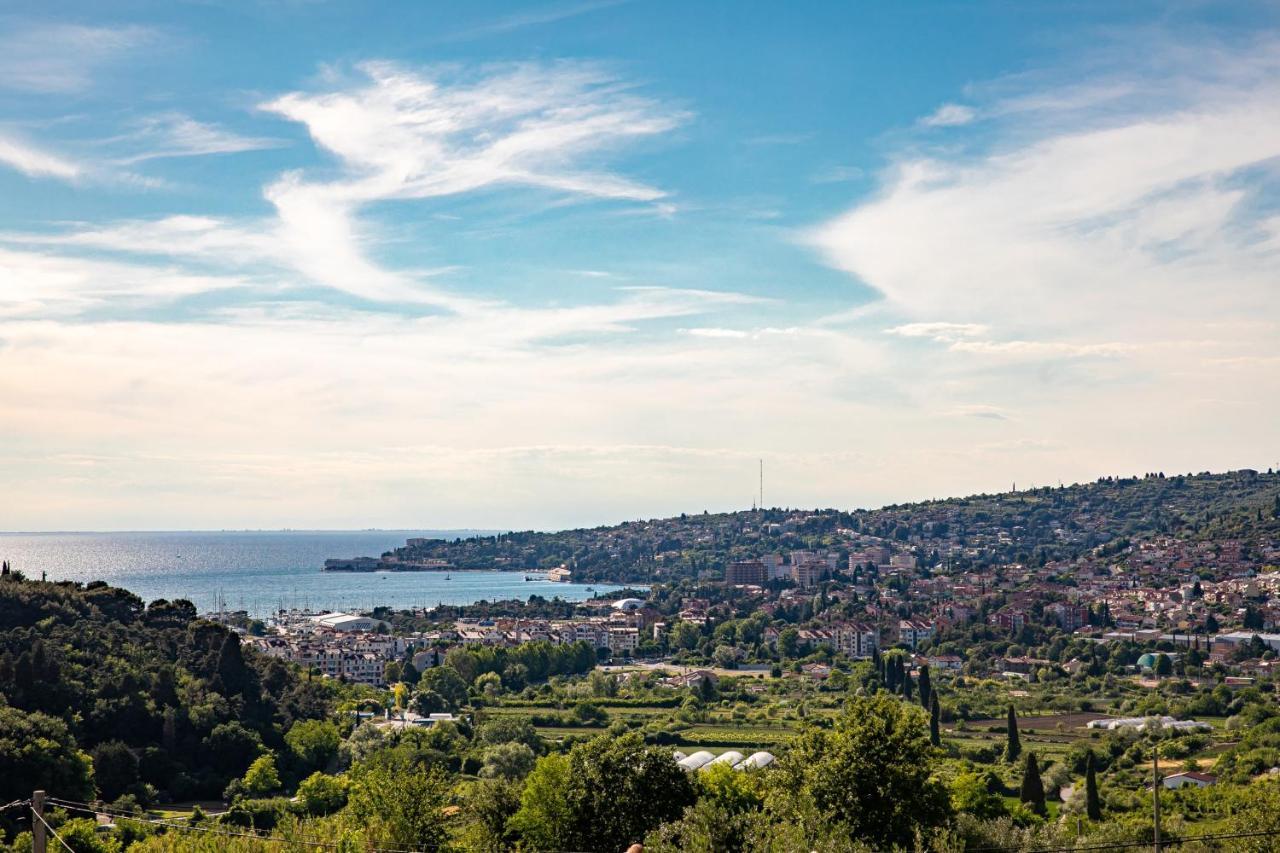 Larabella Salt Fields View Studio Portoroz Bagian luar foto
